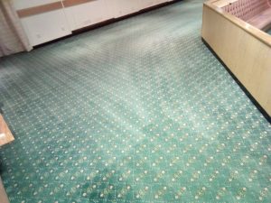 Cleaned commercial carpet