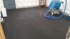 Cleaned commercial carpet