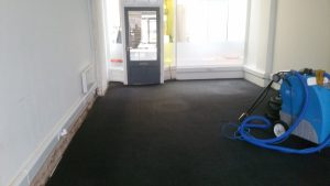 Cleaned commercial carpet