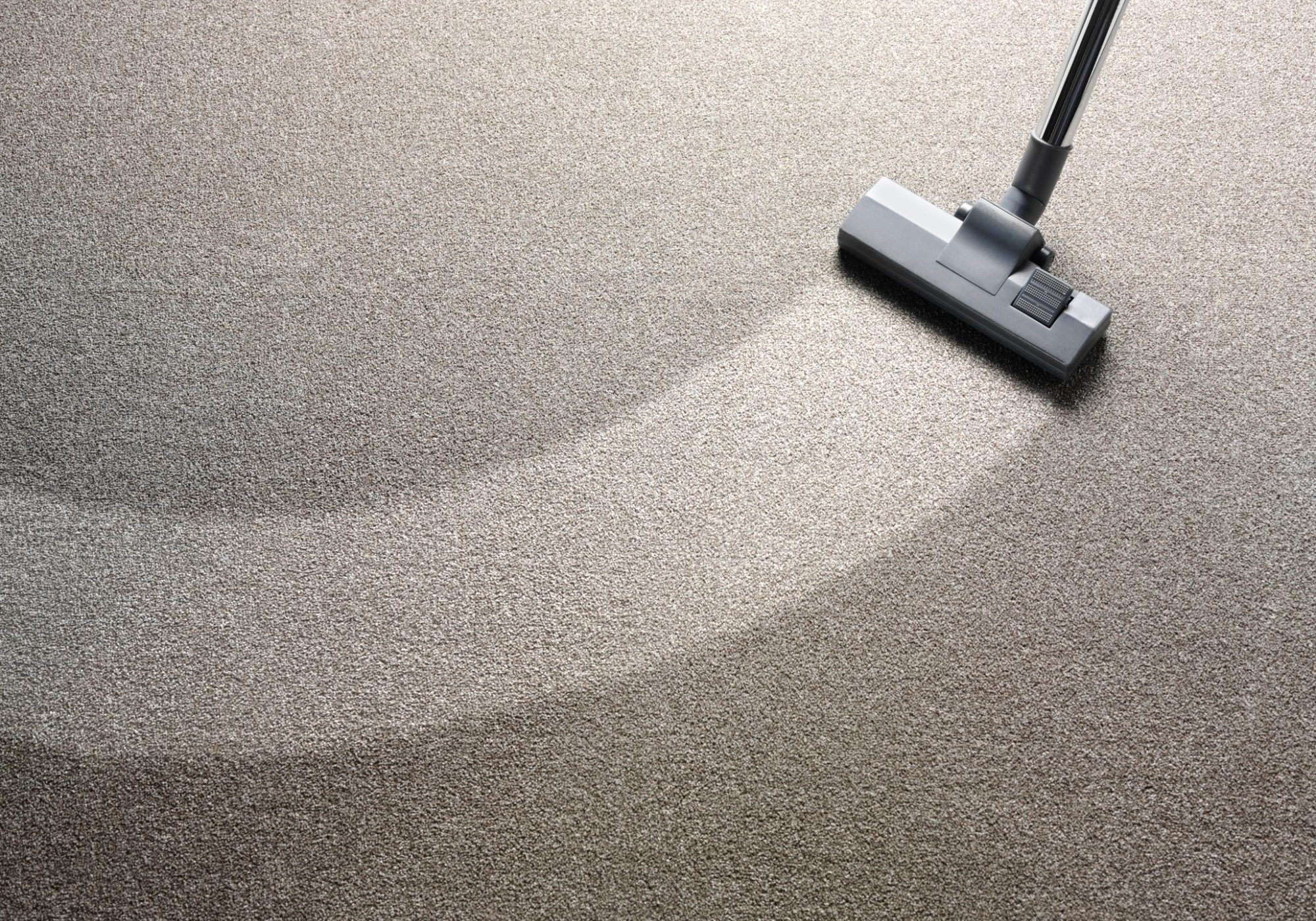 Vacuum cleaner on a carpet with an extra clean strip for copy space.